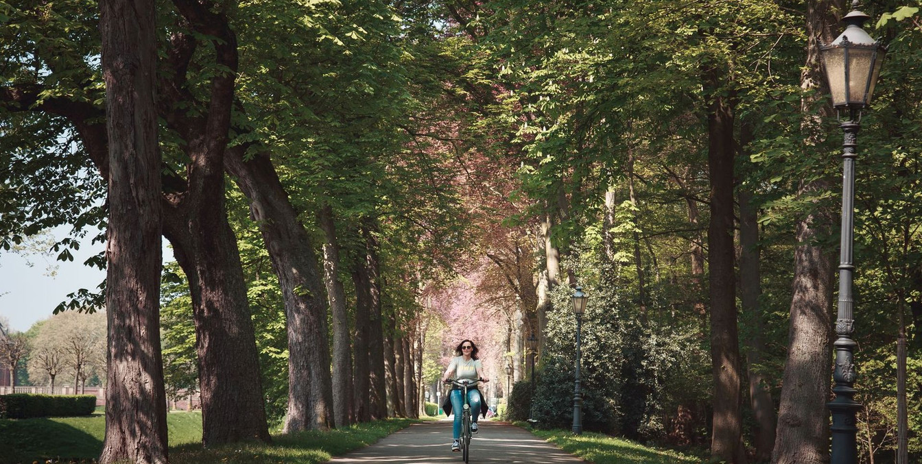 schloss-nordkirchen-bomen-dame-fietsen-lantaarnpaal-schaduw©Ronald-Jansen.jpgschloss-nordkirchen-bomen-dame-fietsen-lantaarnpaal-schaduw©Ronald-Jansen.jpg