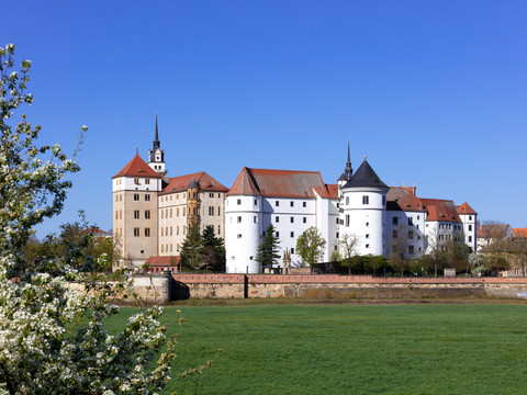 Blick auf das Schloss Hartenfels aus weiterer Entfernung mit grüner Wiese und blühendem Baum