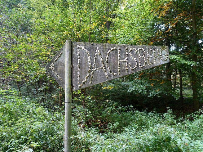 Dachsbergroute-Die-Haard-Naturpark-Hohe-Mark-Westmünsterland-©Wanda.jpgDachsbergroute-Die-Haard-Naturpark-Hohe-Mark-Westmünsterland-©Wanda.jpg