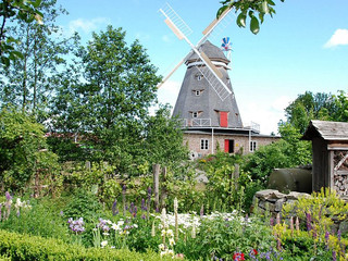 Holländerwindmühle Zoo Stralsund
