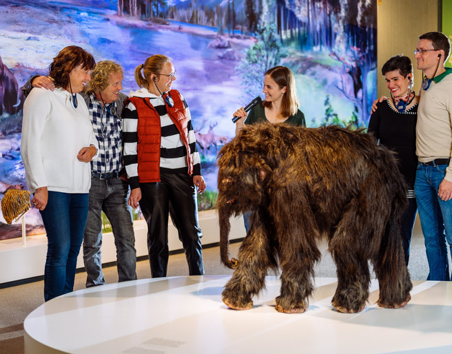 Presentation of the baby mammoth Tinka during a tour of the Neanderthal Museum in Mettmann