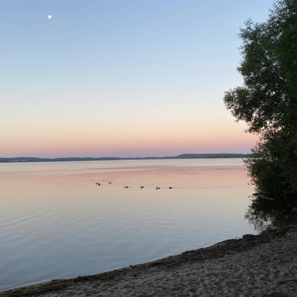 Strand + Sonnenuntergang mit Vögeln auf dem See