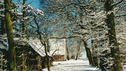 Winter auf dem Moorhof Augustendorf