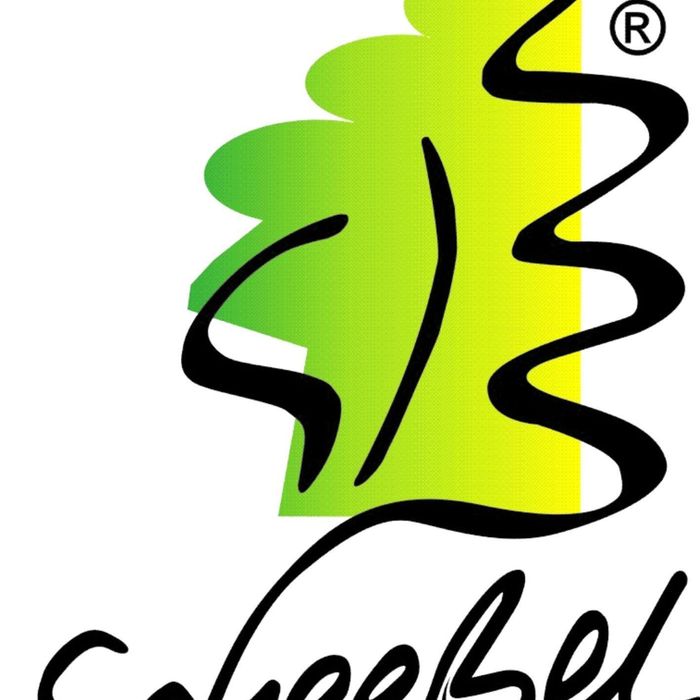 scheessel-logo-100%-jpg.jpg