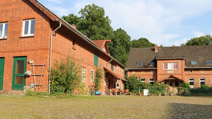 Der Bioland Hof Wilkens besticht mit Ursprünglichkeit