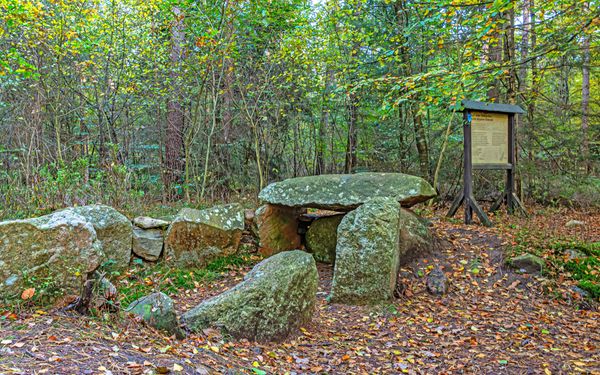 Das Großsteingrab im Eichholz mit Infotafel
