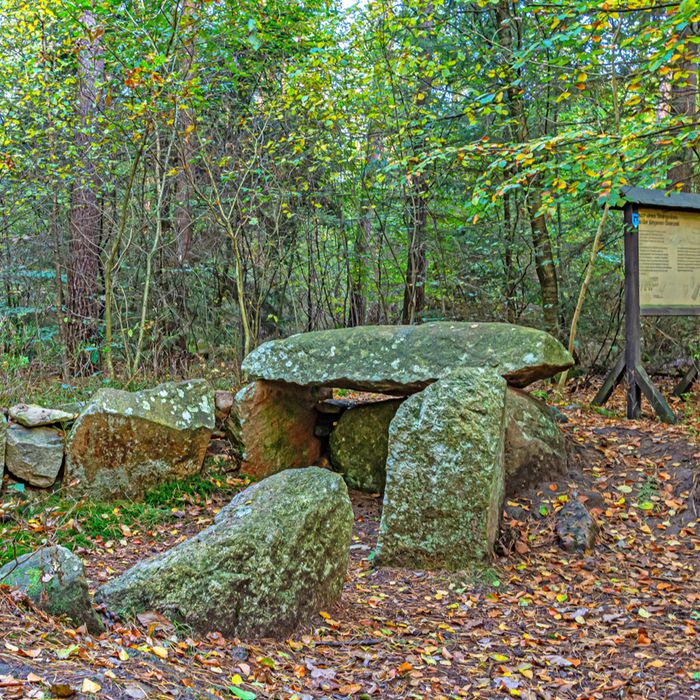 Das Großsteingrab im Eichholz mit Infotafel