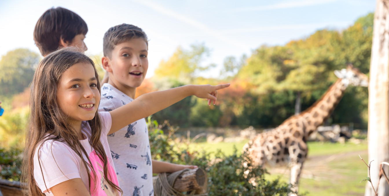 Kinder schauen sich im Zoo Leipzig die Giraffen an, Freizeitaktivität, Tiere, Familie
