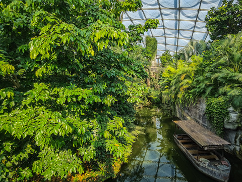 Blick auf den Dschungel und den Fluss in der Tropenhalle "Gondwanaland" im Zoo Leipzig, Freizeit, Natur, Tiere, Familienausflug