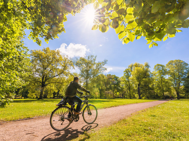 Blick auf einen Fahrradfahrer, der durch den Friedenspark in Leipzig an einem sonnigen Tag fährt, Sport, Freizeit, Natur