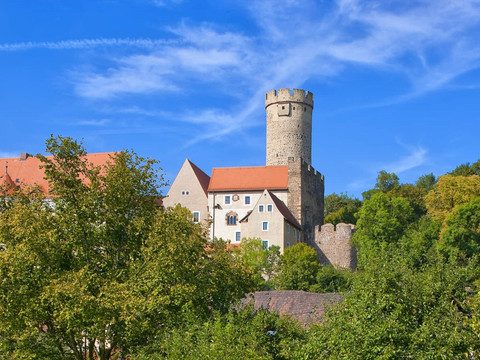 Grüne Sommerwiese mit Burg Gandstein im Hintergrund, Ausflugsziele, Kultur, Sehenswürdigkeiten