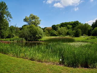 Teich im Botanischen Garten Botanischer Garten