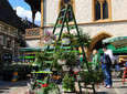 Gartenmarkt "Hier blüht dir was" - GOSLAR markting gmbh - Fotograf: Anette Kilb