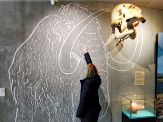Mammut Museum Steinzeithaus