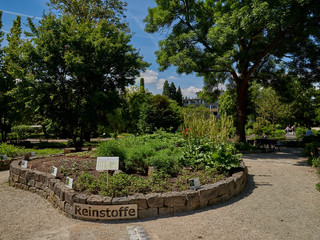 Dr Senckenberischer Arzneipflanzengarten Botanischer Garten