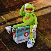 VA-Erste-Hilfe-Kids-Kermit.jpg