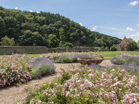 Garten des Klosters Buch in Leisnig in der Region Leipzig mit Blumenbeeten und einem angrenzenden Waldgebiet