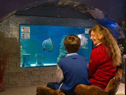 Menschen sitzen vor Aquarium im Nautiland Meeresaquarium Sonneberg