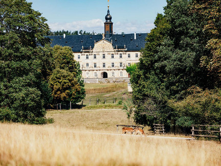 Schloss Tambach Parksicht