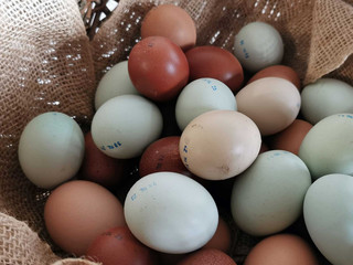 Hofladen Tumat: frische Eier