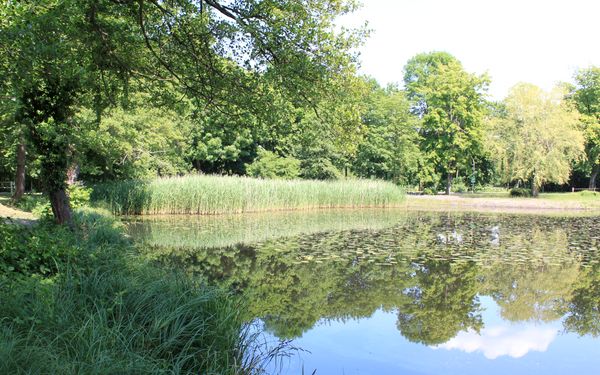Burgteich bei der Löweninsel