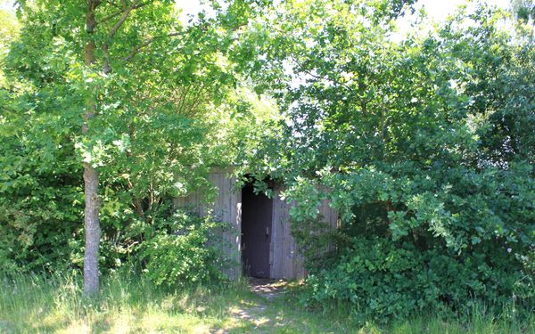 Eingang zur Vogelbeobachtungshütte in Stemmen