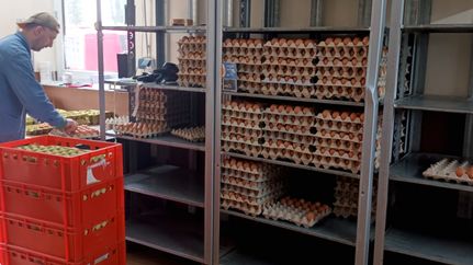 Verpackung von Eiern im SB-Hofladen Stöver in Breddorf