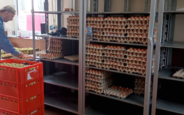 Verpackung von Eiern im SB-Hofladen Stöver in Breddorf