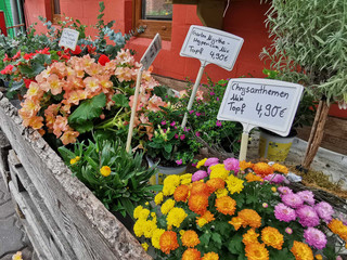 Hofladen Fangmeier & Heikes Blumenstube