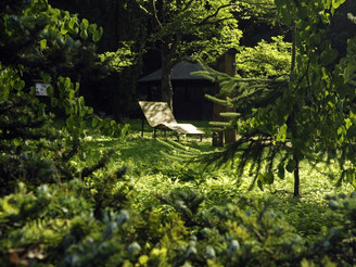 Liegebank und Schutzhütte im Arboretum 