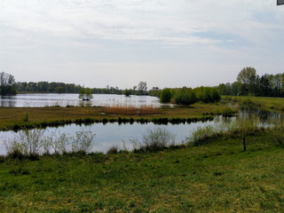 Steinhorster Becken