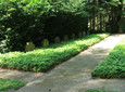 Soldatenfriedhof 1