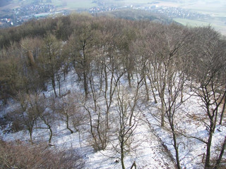 Aussicht im Winter vom Luisenturm Borgholzhausen