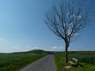 Panoramaweg über den Wehdemer Klei