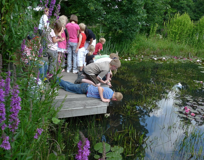 Besuchergruppe im NaturaGart Ibbenbüren