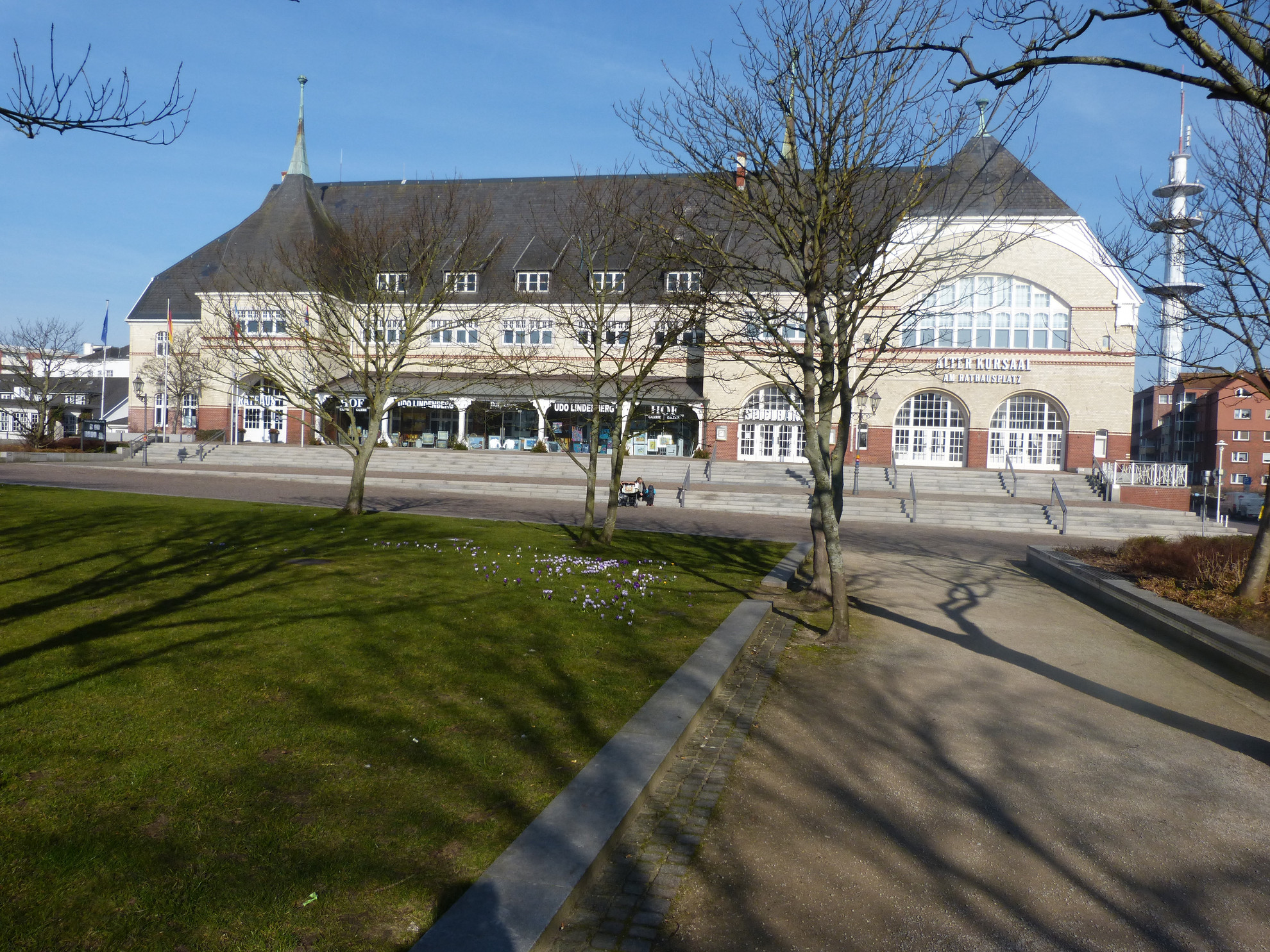 Rathauspark im Frühling