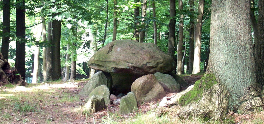 Großsteingrab Papenbusch