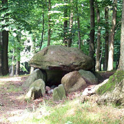Großsteingrab Papenbusch