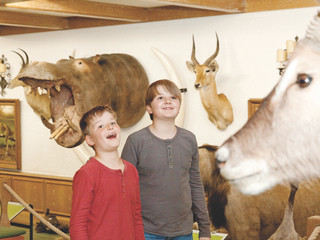 Afrikahalle im Jagdmuseum Wulff in Oerrel in der Südheide Gifhorn