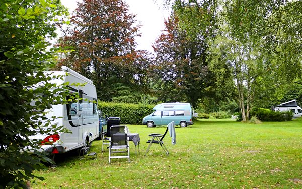 Wohnmobile auf dem Campingplatz Alte Löweninsel