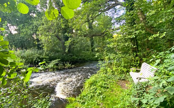 Die Sohlgleite am geschichtsträchtigen Schmiedeberg mit Bank