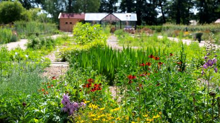 Grüne Beete im LandGarten im LandPark Lauenbrück