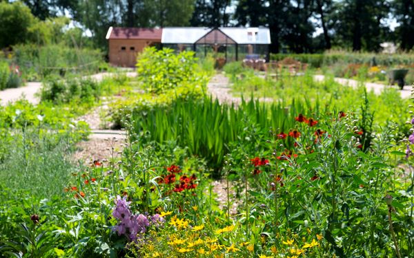 Grüne Beete im LandGarten im LandPark Lauenbrück