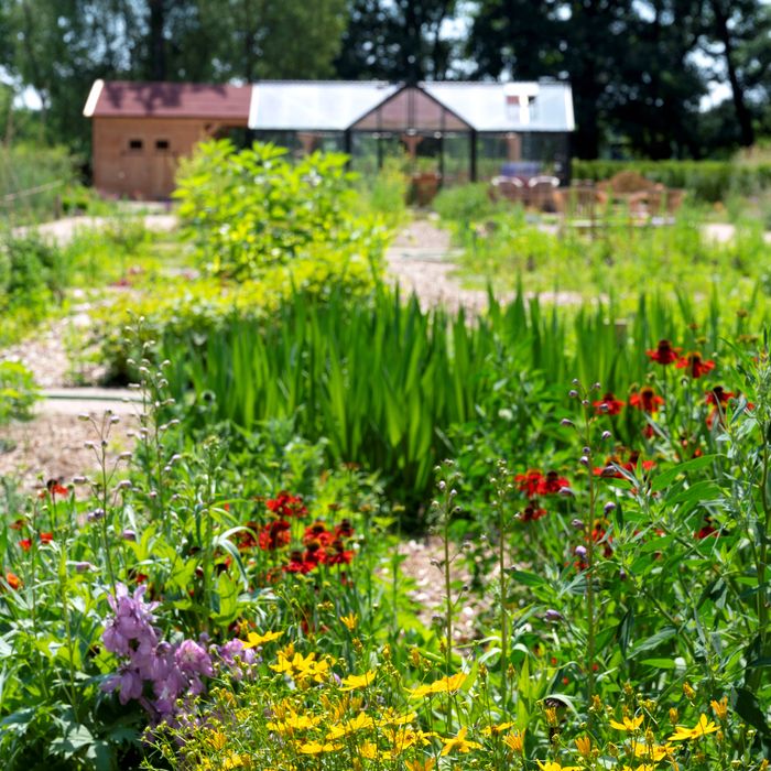 Grüne Beete im LandGarten im LandPark Lauenbrück