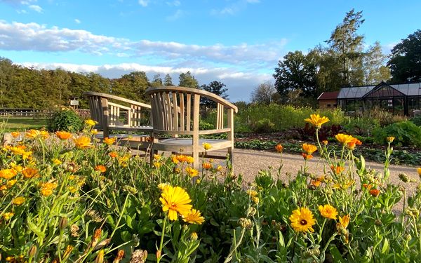 Sitzmöglichkeiten im LandGarten im LandPark Lauenbrück