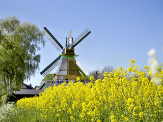 Windmühle Ursula