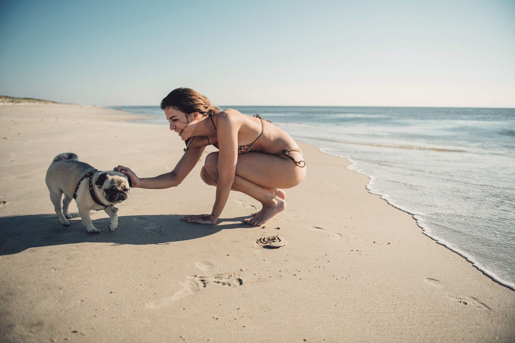 Strand mit Hund