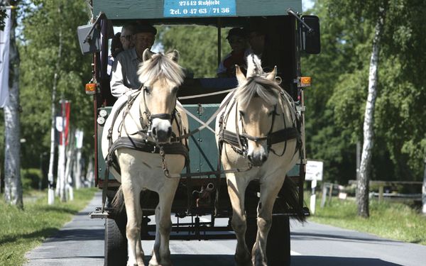 Eine Kremserfahrt ist immer ein Erlebnis