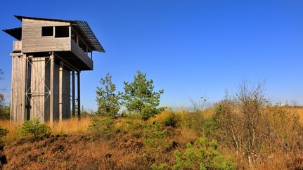 Moorturm in Forstort-Anfang