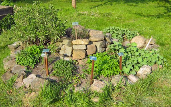 Kräuterbeet der NABU Umweltpyramide